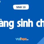 Màng sinh chất Sinh 10 -  Lý thuyết về cấu trúc, thành phần và chức năng