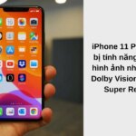 Thay màn hình iPhone 11 Pro Max