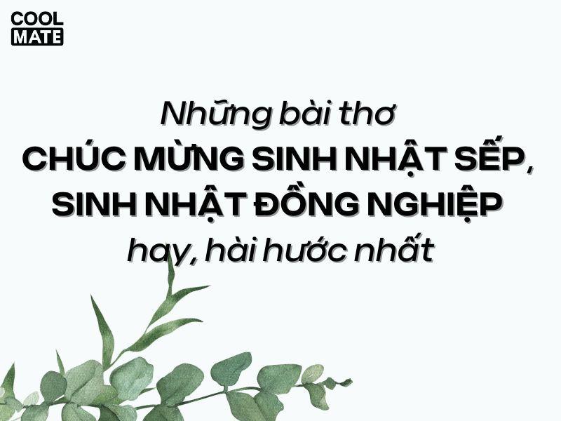 thơ chúc mừng sinh nhật sếp nữ