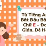 Từ Tiếng Anh Bắt Đầu Bằng Chữ E – Đơn Giản, Dễ Học