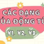 Động từ V1, V2, V3 trong tiếng Anh là gì? Phân biệt V1,V2 và V3