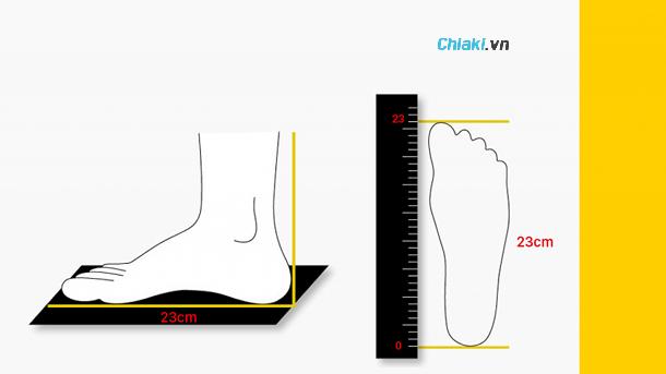 bàn chân dài 23cm đi giày size bao nhiêu