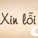 Làm thế nào để xin lỗi một cách chân thành và hiệu quả?