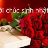 Lời chúc sinh nhật vợ hay và hài hước