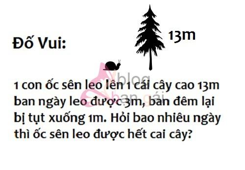 quần rộng nhất là quần gì