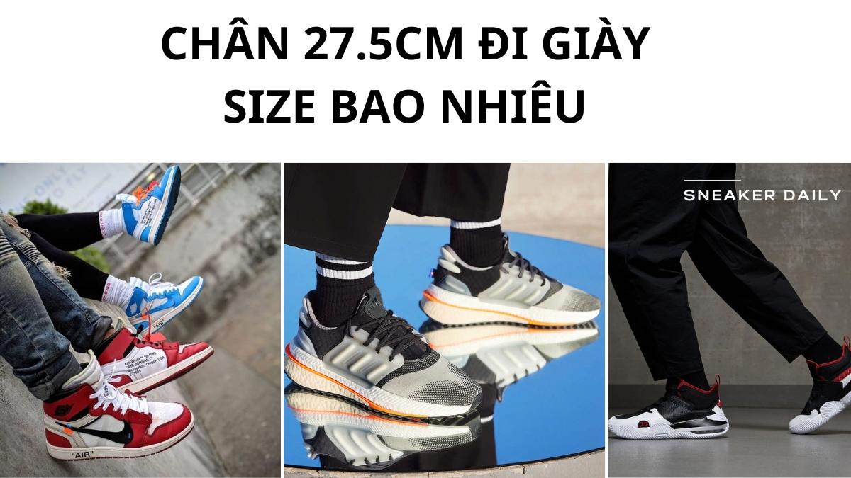 size 42.5 là bao nhiêu cm