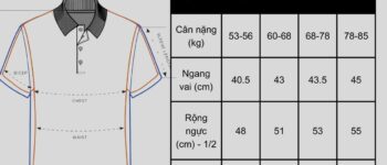 Bảng Size Áo Polo Đầy Đủ Và Chuẩn Theo Cân Nặng, Chiều Cao, Số Đo