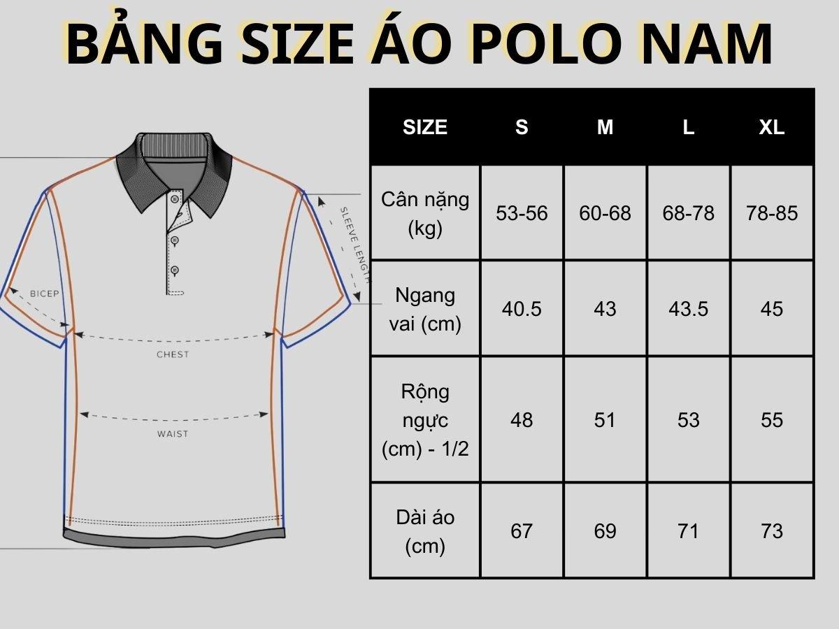 size áo polo nam