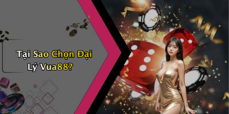 Tại Sao Chọn Đại Lý Vua88?