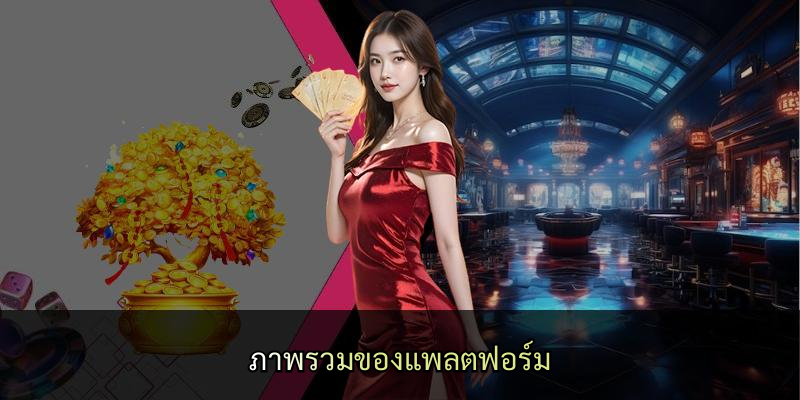 ภาพรวมของแพลตฟอร์ม