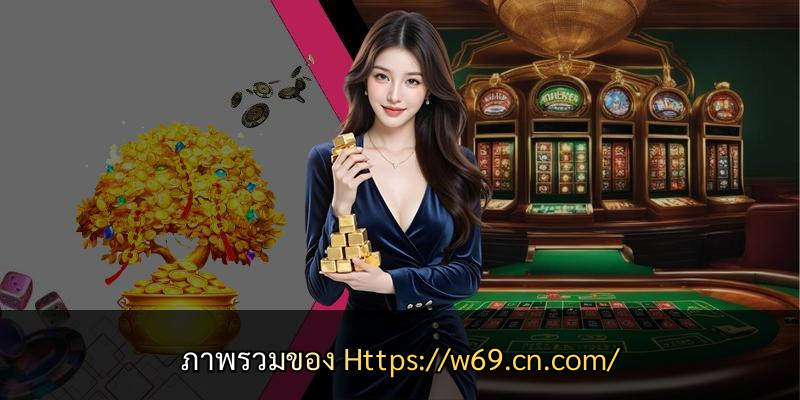 ภาพรวมของ Https://w69.cn.com/