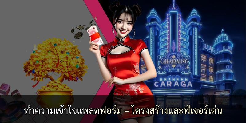 ทำความเข้าใจแพลตฟอร์ม – โครงสร้างและฟีเจอร์เด่น